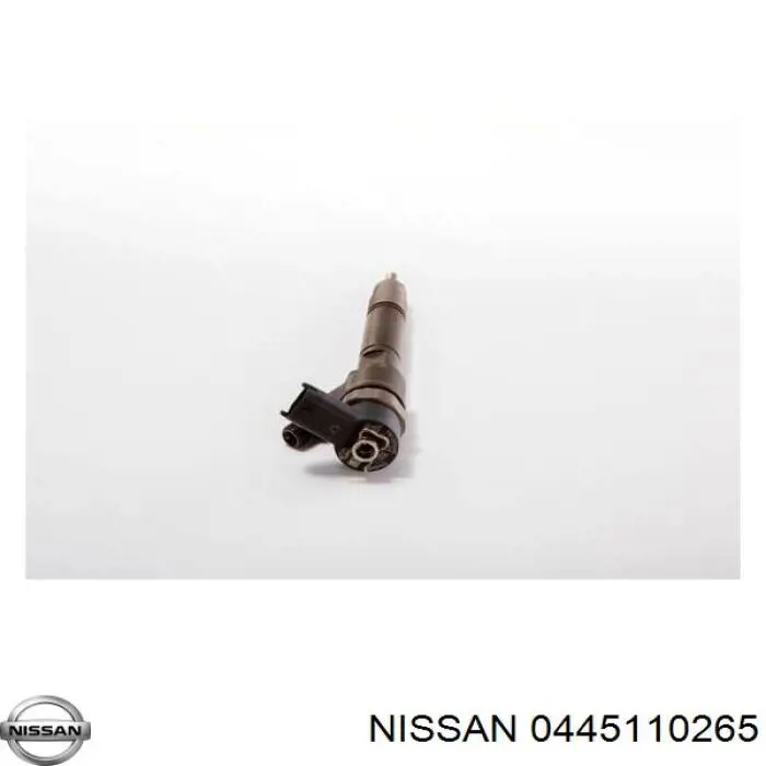 166000511R Nissan inyector de combustible