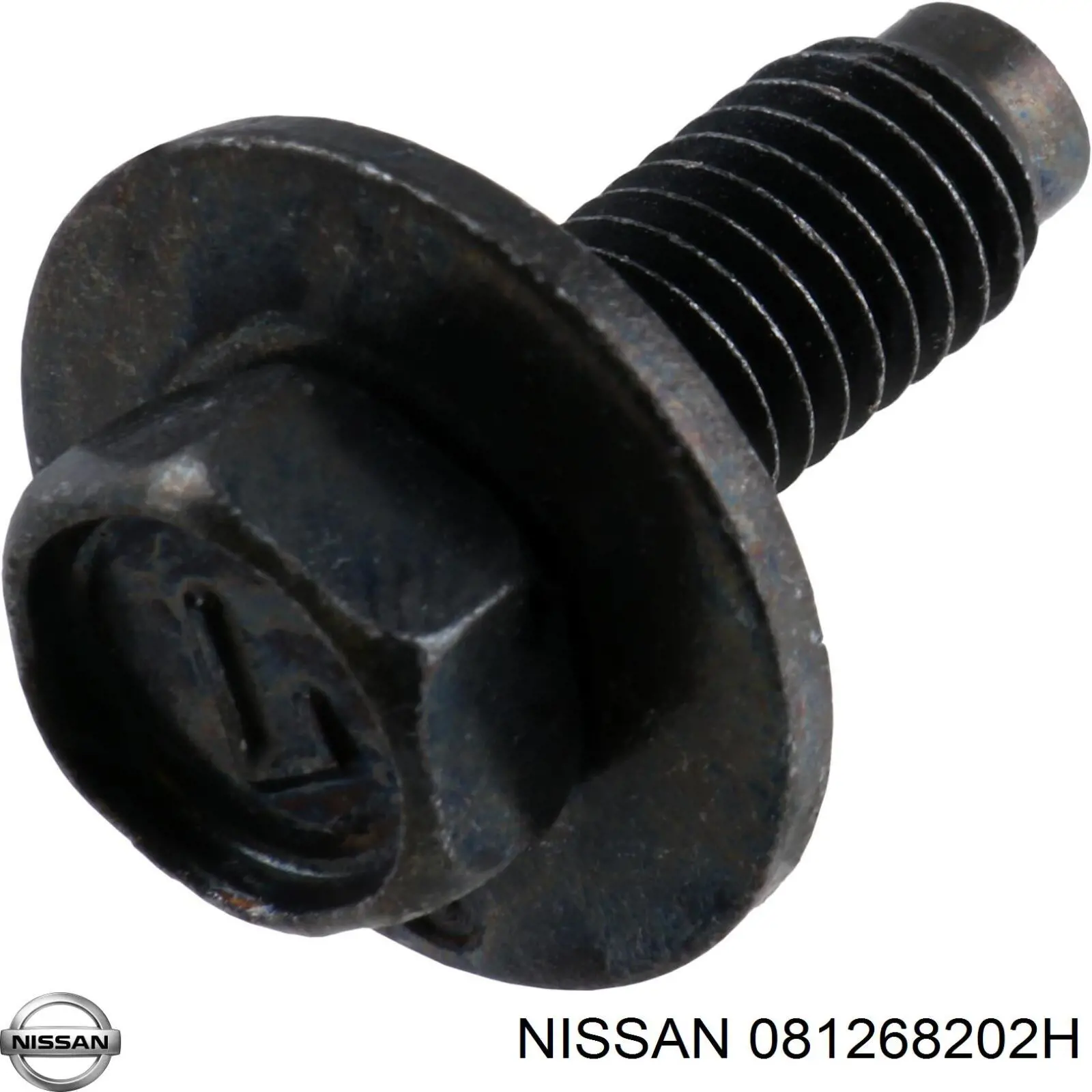 081268202H Nissan