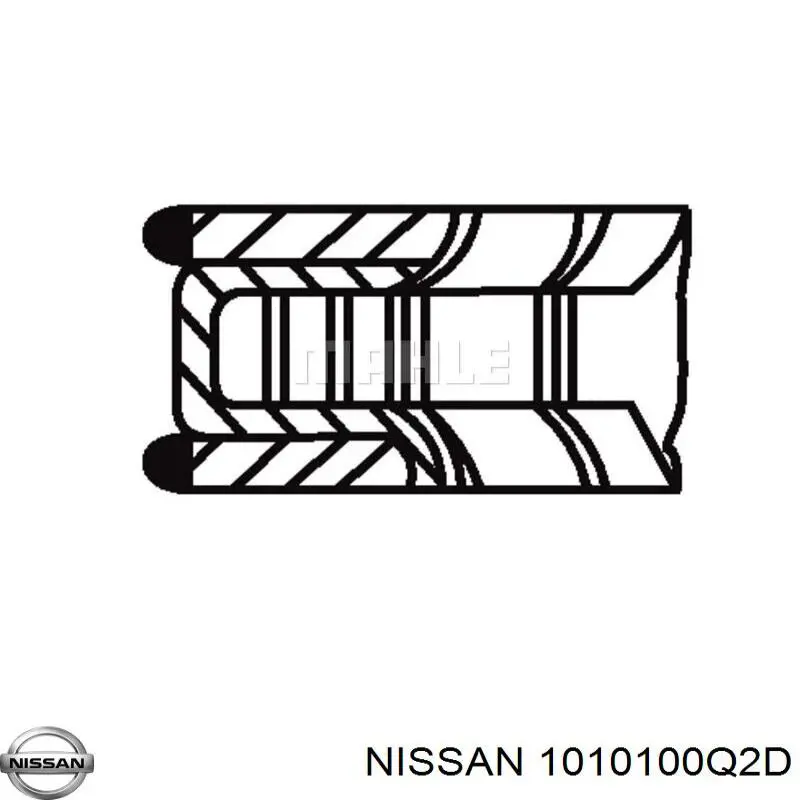 1010100Q2D Nissan