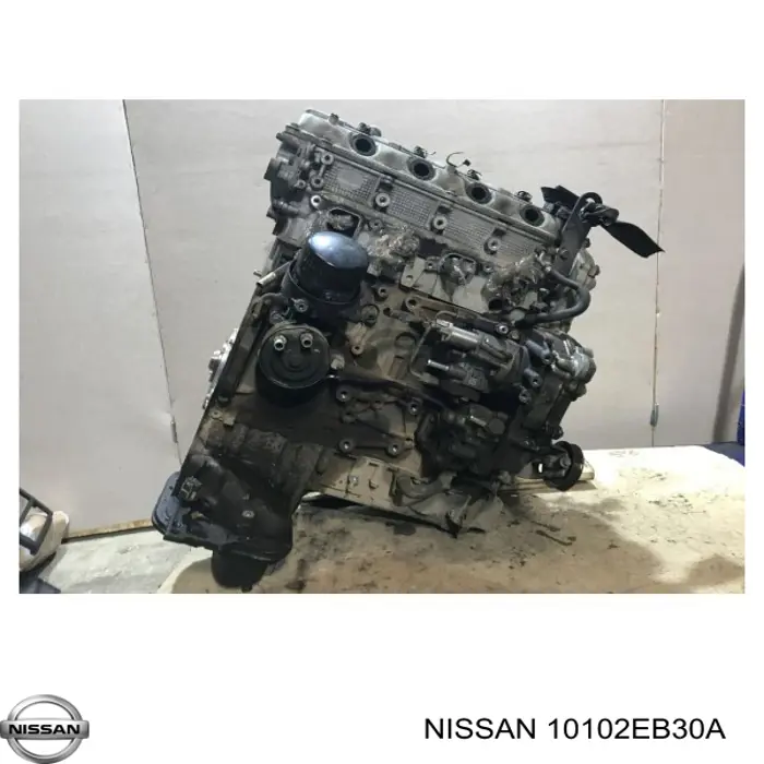 Motor Nissan/Infiniti 10102EB30A