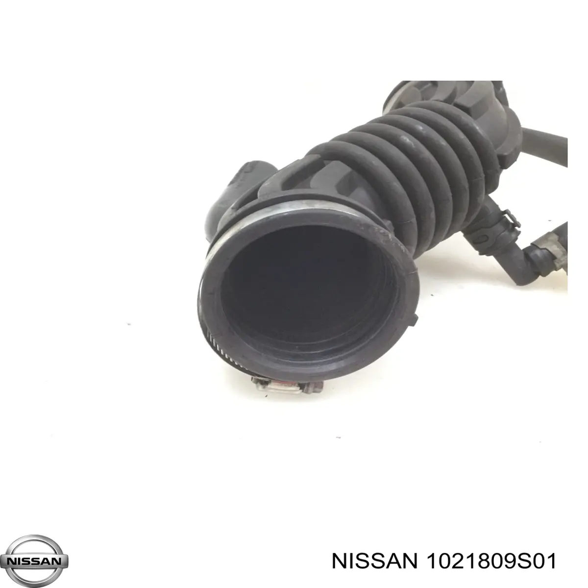 1021809S01 Nissan