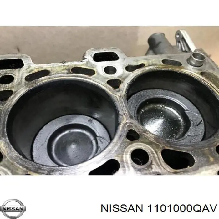 1101000QAV Nissan