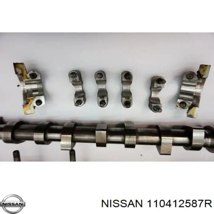 Cabeza de cilindro Renault (RVI) 1104100Q1K precio, desde 364,45 EUR