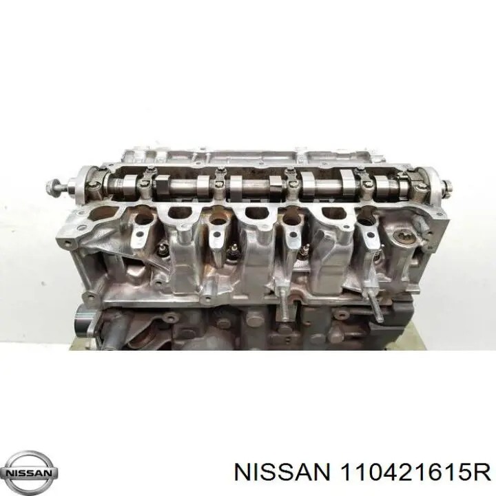 110421615R Nissan