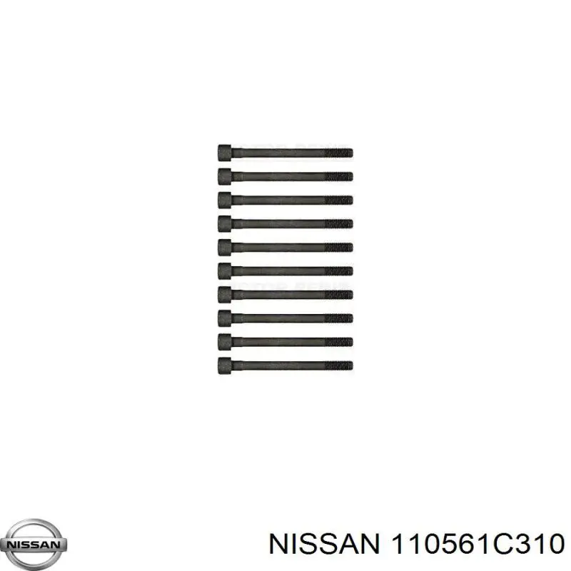 110561C310 Nissan