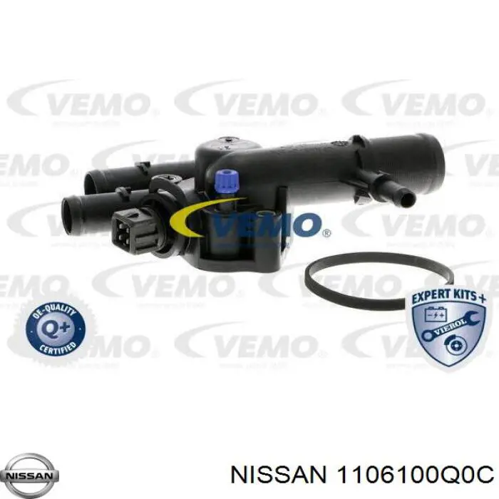 1106100Q0C Nissan termostato