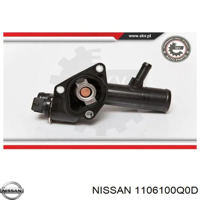 1106100Q0D Nissan termostato