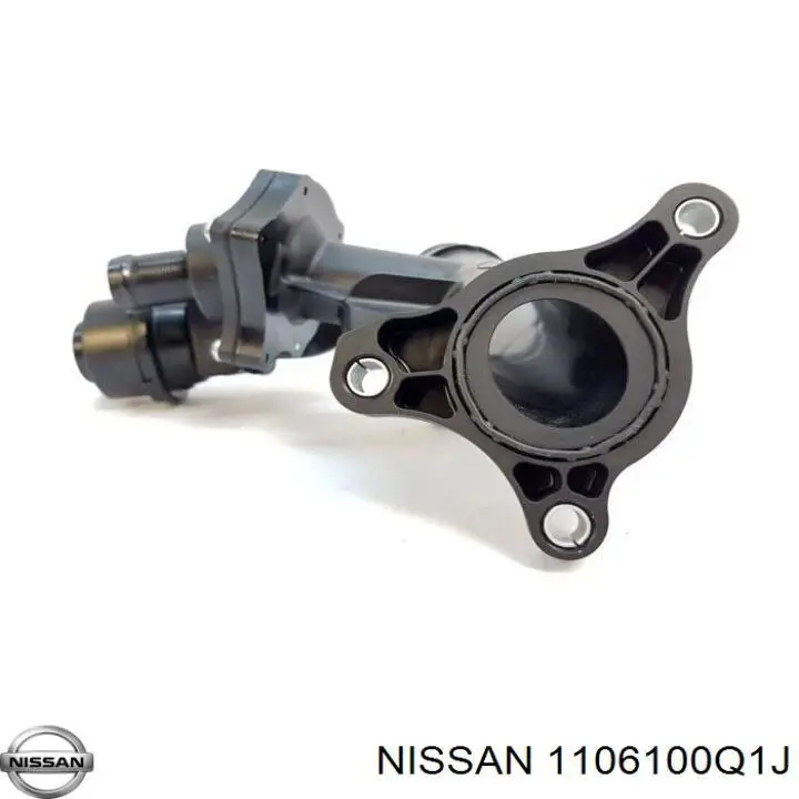 1106100Q1J Nissan termostato