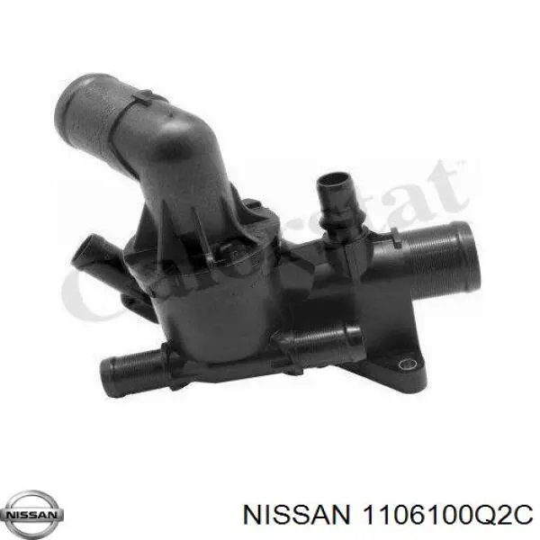 1106100Q2C Nissan