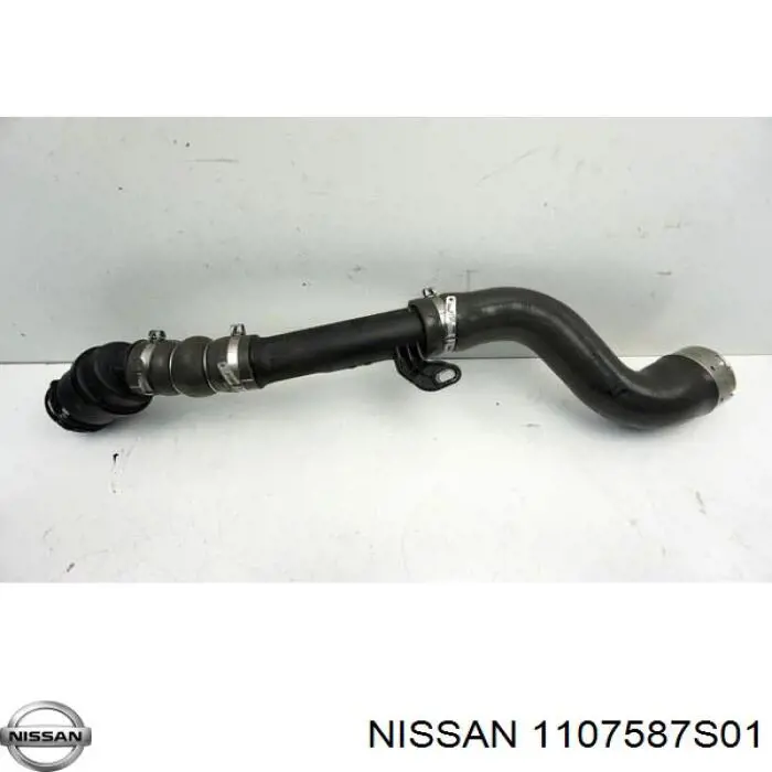 Comprar 1107587S01 Nissan/Infiniti 