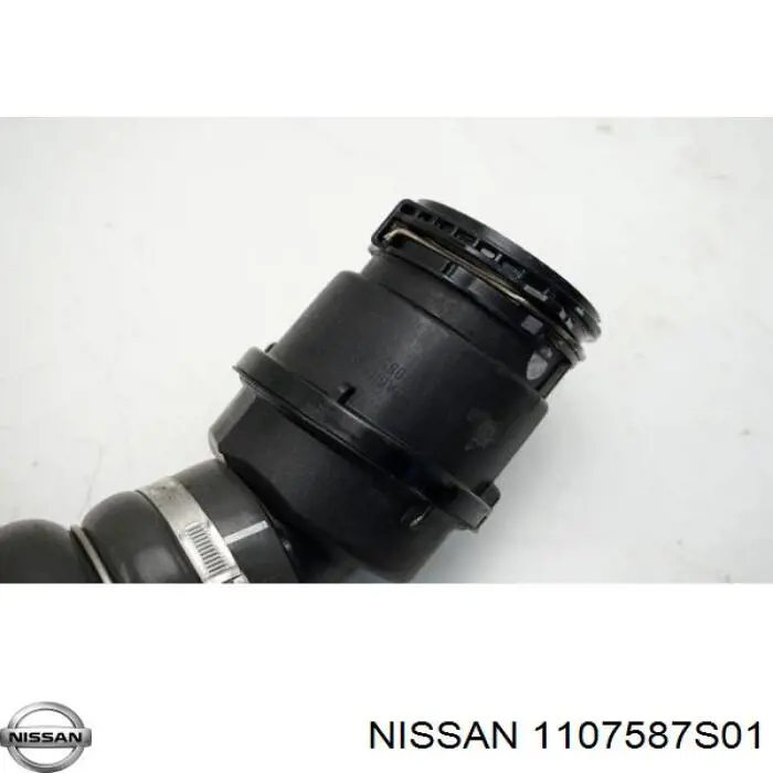  1107587S01 Nissan/Infiniti