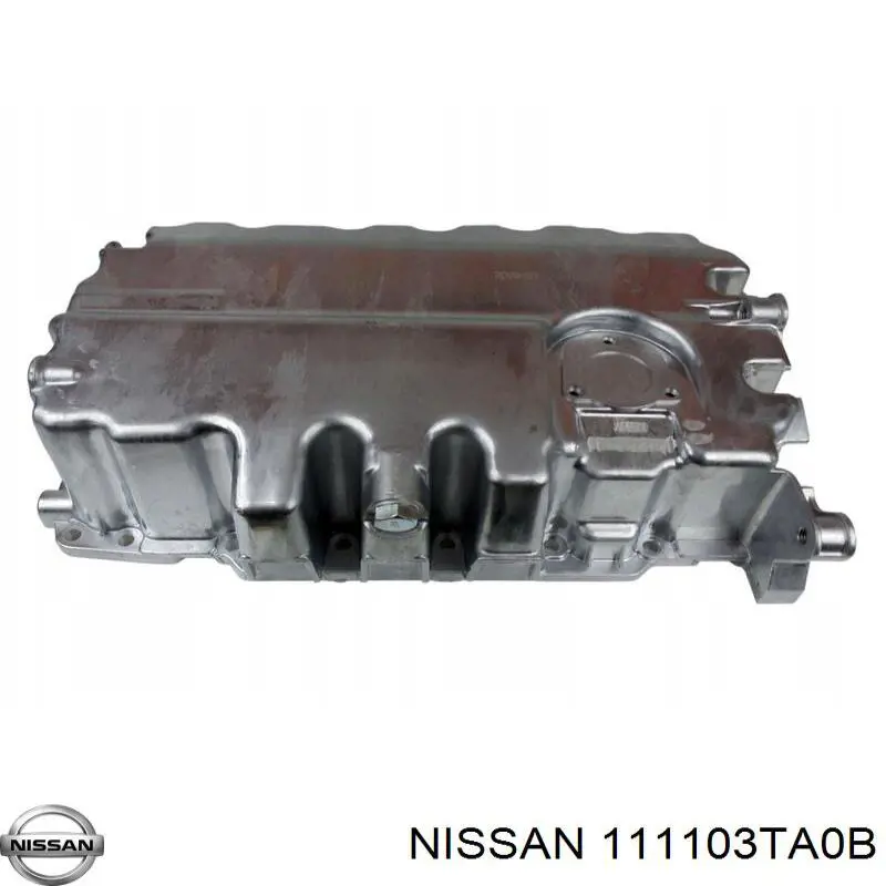 111103TS1B Nissan