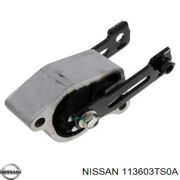 113603TS0A Market (OEM)