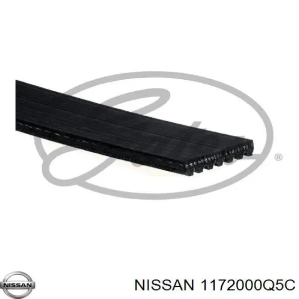 Correa accesorios Renault (RVI) 119200054R