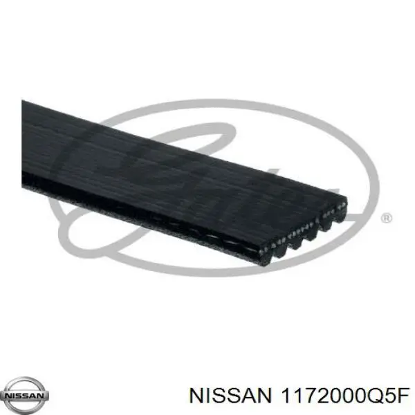 Correa trapezoidal Nissan Qashqai 2 J11