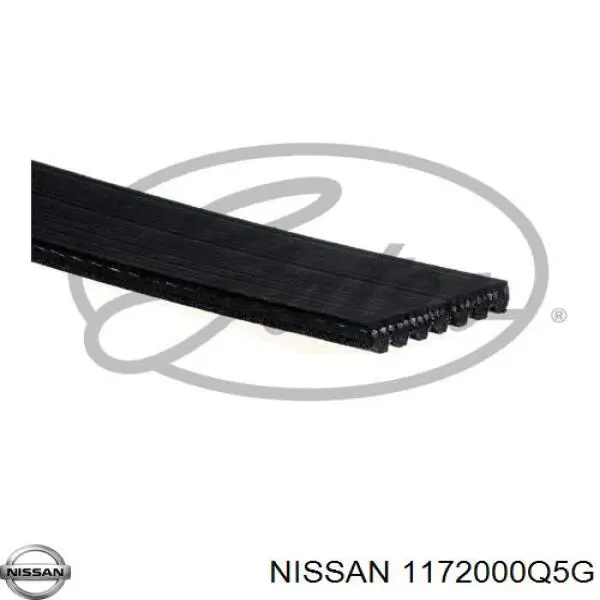 Correa de transmisión trapezoidal Nissan/Infiniti 1172000Q5G precio, desde 16,49 EUR