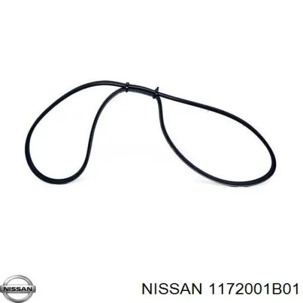 1172001B01 Nissan correa trapezoidal