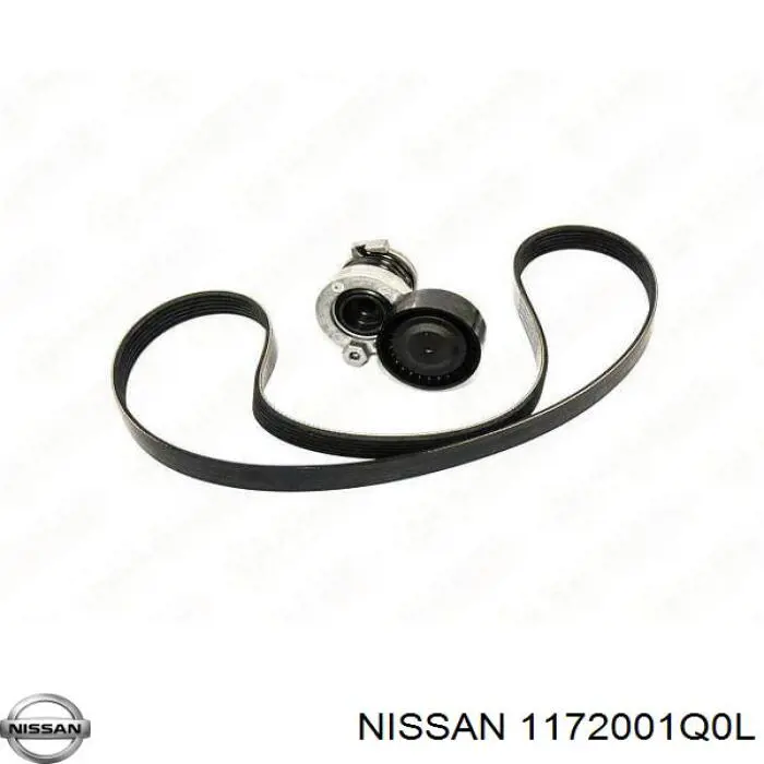 Comprar A6079930296 Mercedes Correa de transmisión