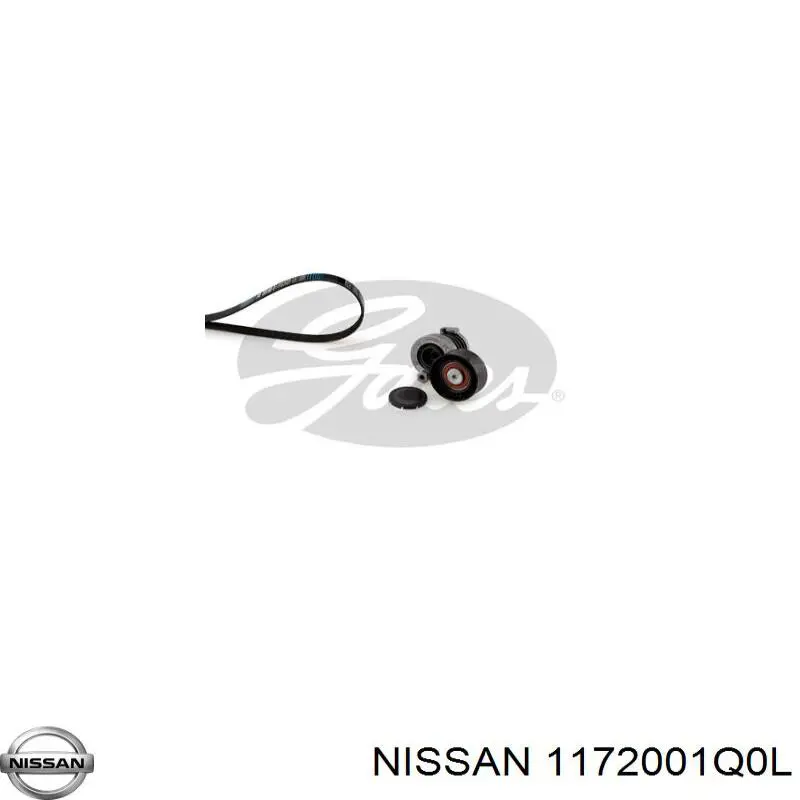 Correa de transmisión Renault (RVI) 8660004391