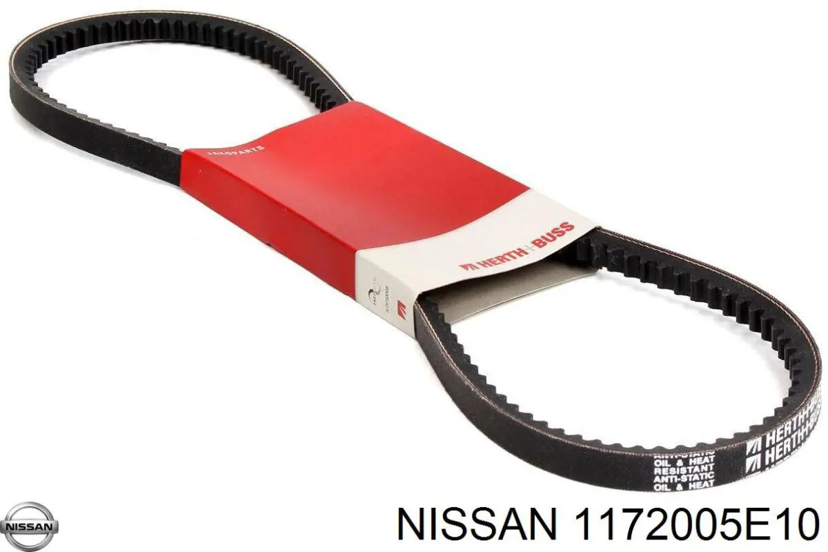1172005E10 Nissan correa trapezoidal