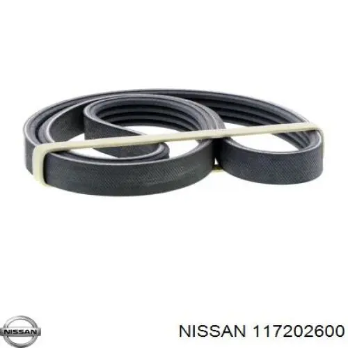 Correa de alternador 2812321920 Renault (RVI)