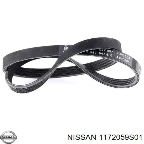1172059S01 Nissan/Infiniti Correa poly v
