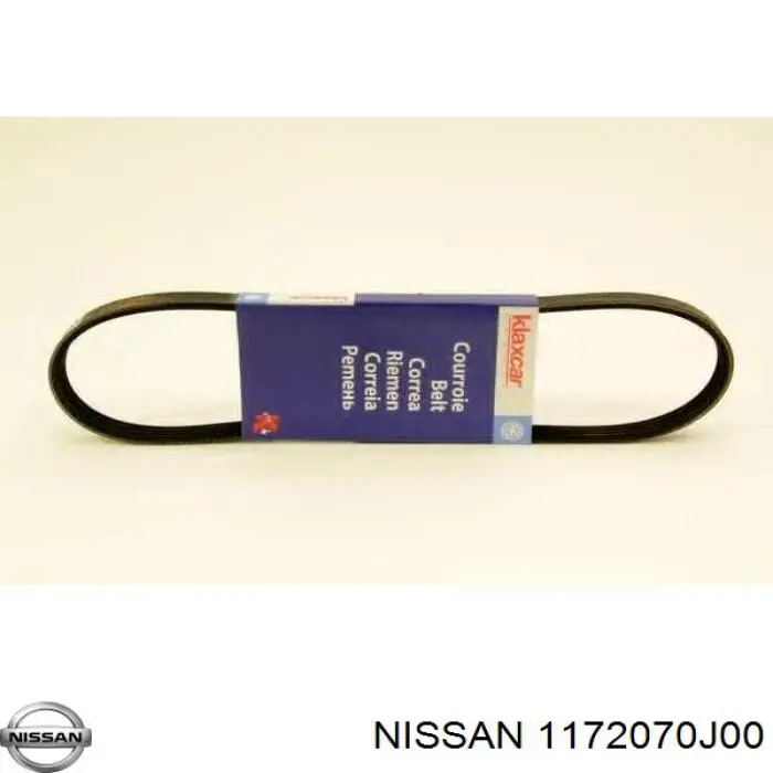 1172070J00 Nissan/Infiniti Correa poly v