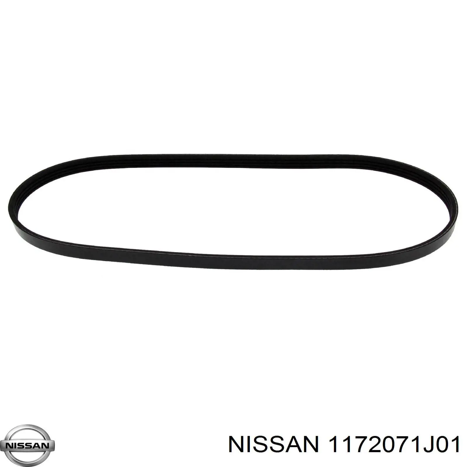 Correa de transmisión trapezoidal Nissan/Infiniti 1172071J01 precio, desde 13,18 EUR