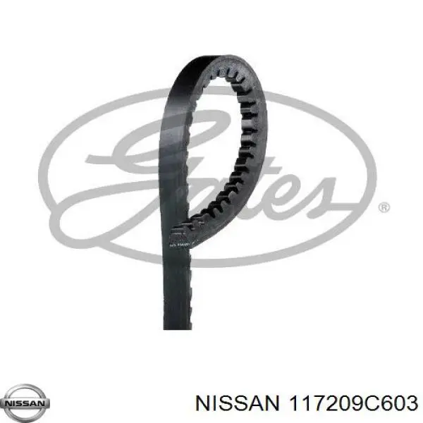 Correa de alternador 13X840 Continental/Siemens