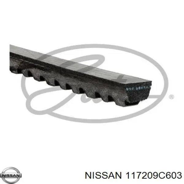 Correa de transmisión trapezoidal Nissan/Infiniti 117209C603 precio, desde 7,77 EUR