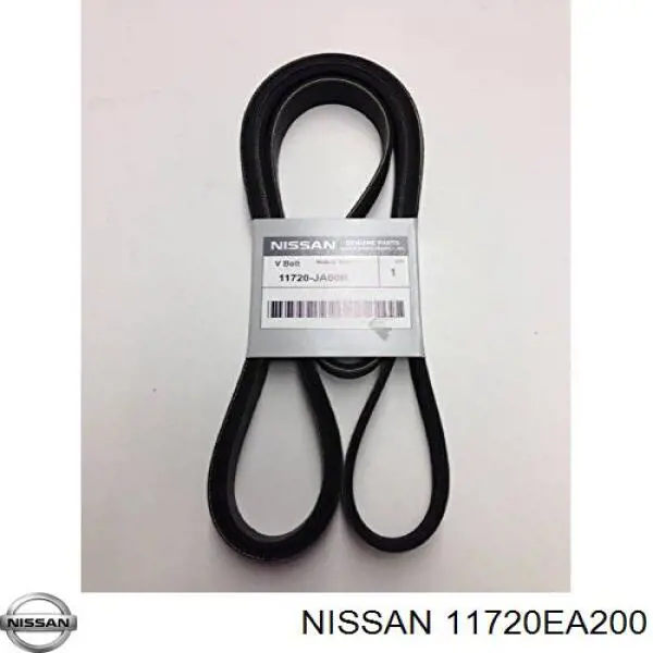 Correa de alternador 11720EA200 Nissan/Infiniti