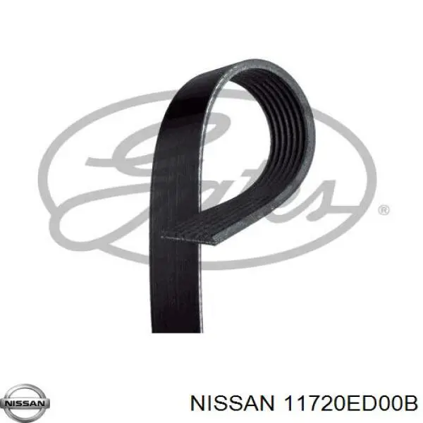 11720ED00B Nissan/Infiniti Correa poly v