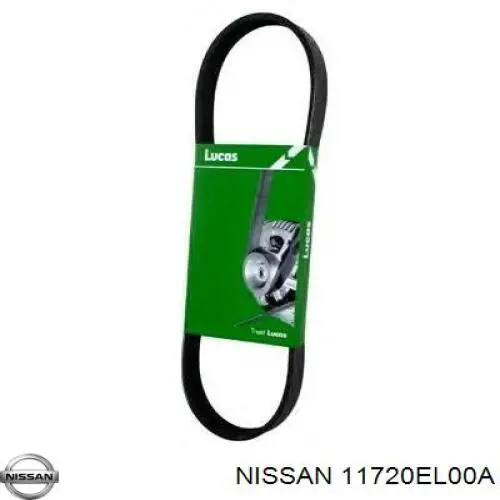 11720EL00A Nissan/Infiniti Correa poly v