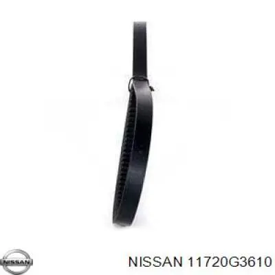 Correa trapezoidal Hyundai H-1 STAREX