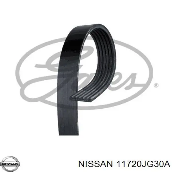 Correa de alternador 11720JG30A Nissan/Infiniti