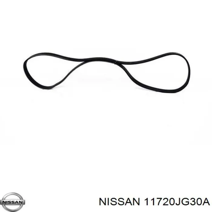 11720JG30A Nissan/Infiniti Correa poly v