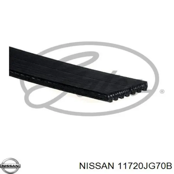 Correa de transmisión trapezoidal Nissan/Infiniti 11720JG70B precio, desde 21,39 EUR
