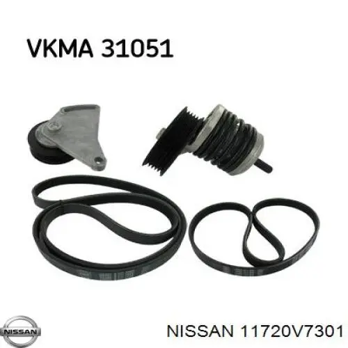 Correa accesorios Renault (RVI) 8660004973