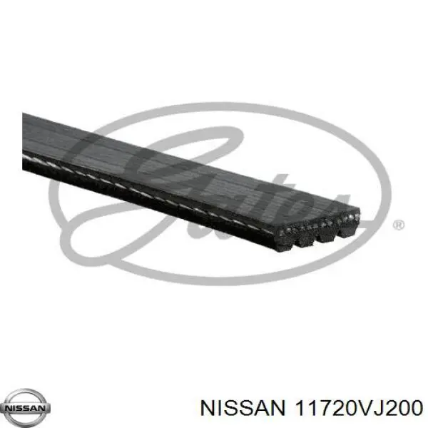 Correa de transmisión trapezoidal Nissan/Infiniti 11720VJ200 precio, desde 8,18 EUR