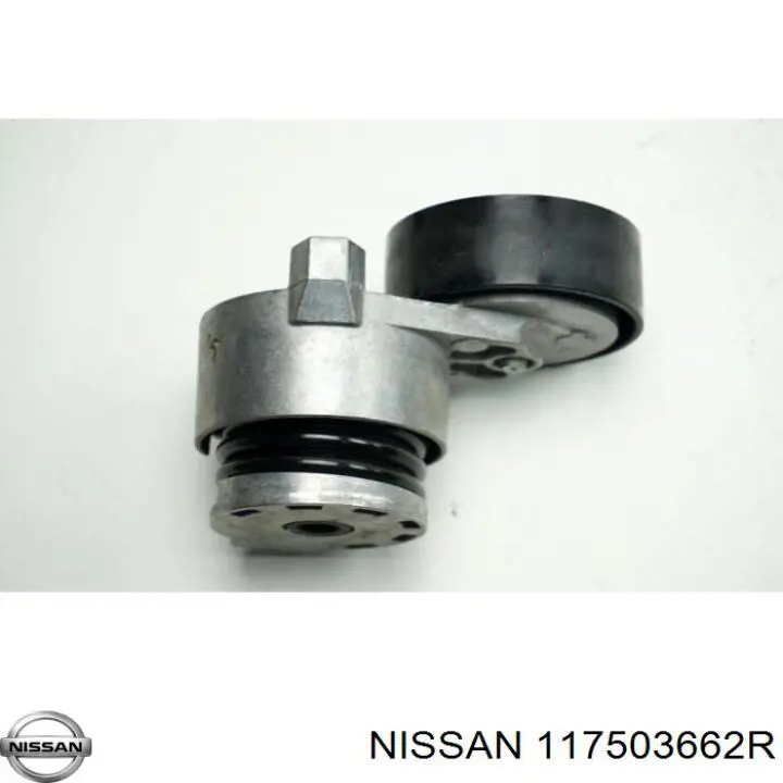 117503662R Nissan tensor de correa, correa poli v