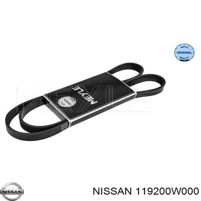 119200W001 Nissan/Infiniti Correa poly v
