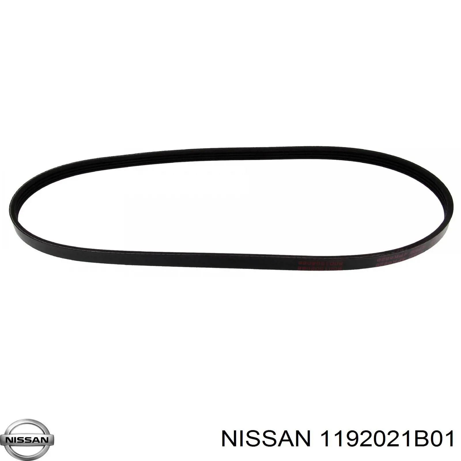 1192021B01 Nissan correa trapezoidal