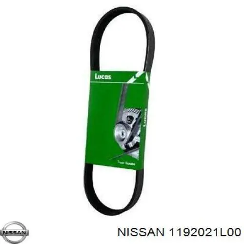 1192021L00 Nissan/Infiniti Correa poly v