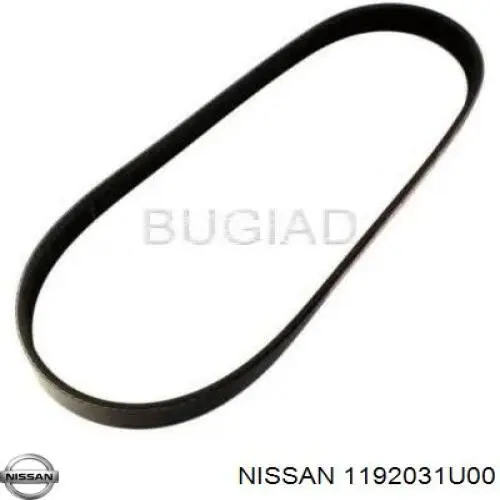 Correa de transmisión trapezoidal VAG 038903137N precio, desde 12,81 EUR