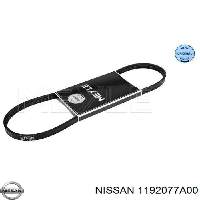 Correa de transmisión trapezoidal Nissan/Infiniti 1192077A00 precio, desde 5,48 EUR