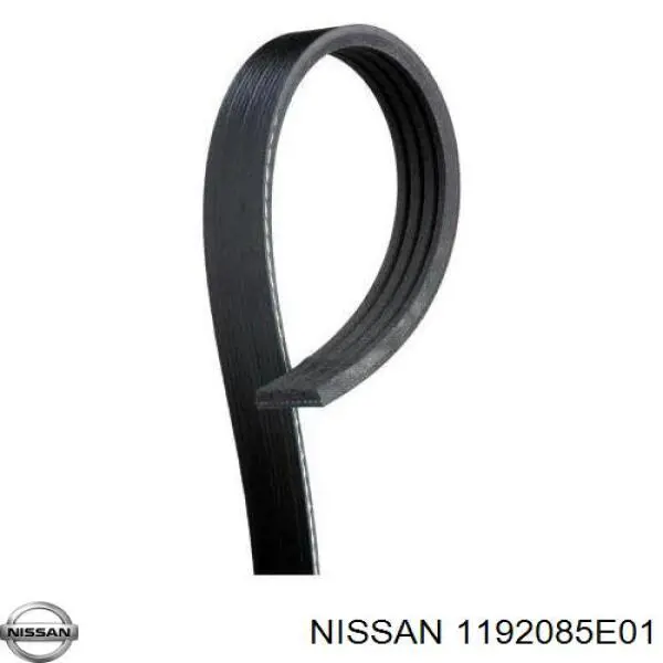 1192085E01 Nissan correa trapezoidal