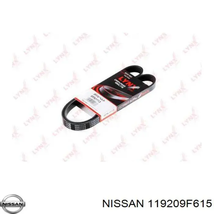 Correa de transmisión trapezoidal Nissan/Infiniti 119209F615 precio, desde 11,68 EUR