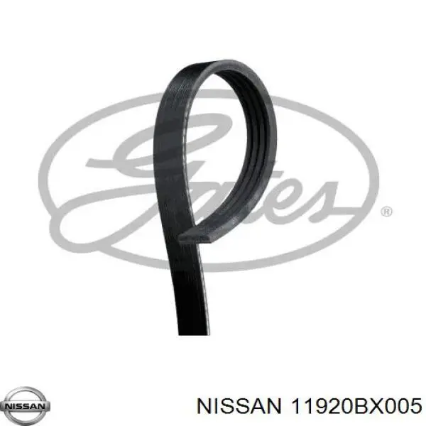 11920BX005 Nissan correa trapezoidal