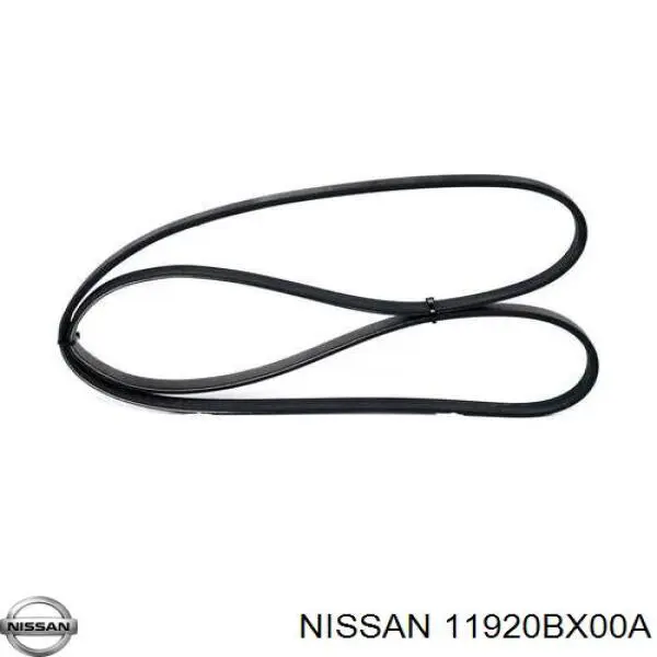 11920BX00A Nissan/Infiniti Correa poly v