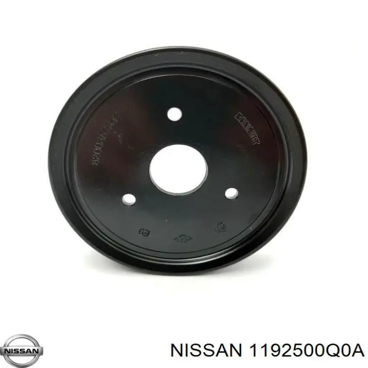 1192500Q0A Nissan